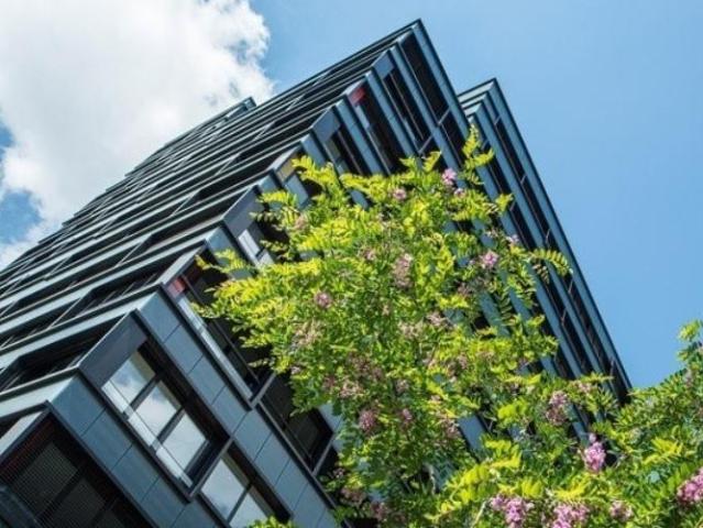 Apartment mieten in Allmend, Baden