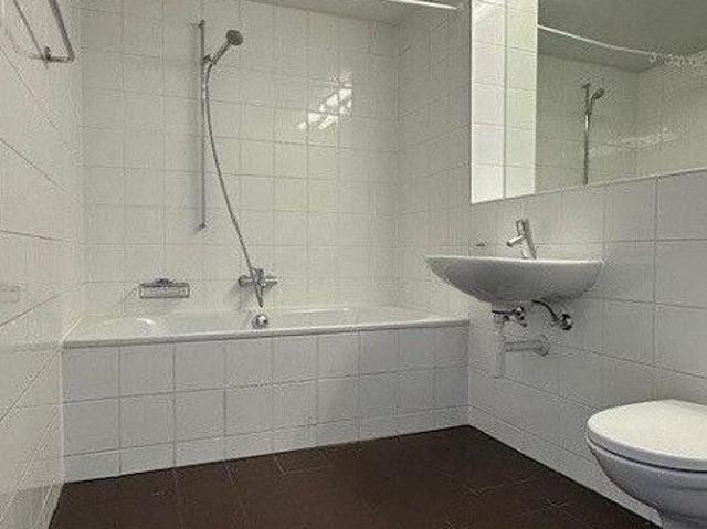 Apartment mieten in Wallisellen, Zürich