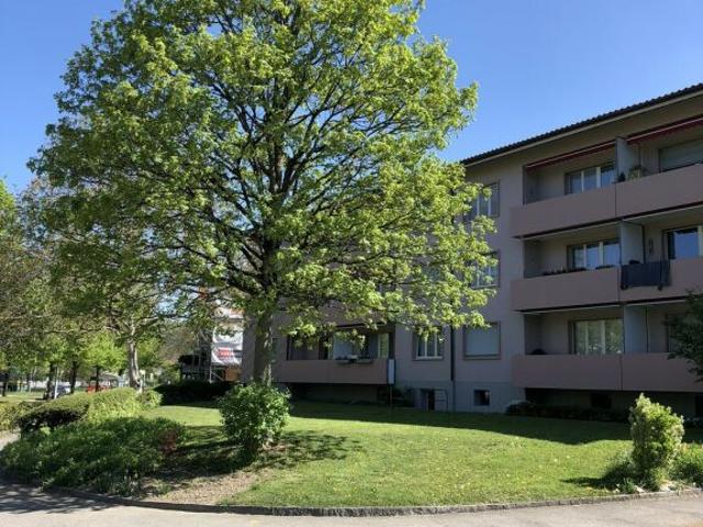 Wohnung mieten in Burgdorf, Bern