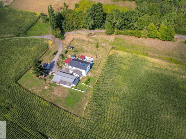 Haus kaufen in Jennersdorf, Burgenland
