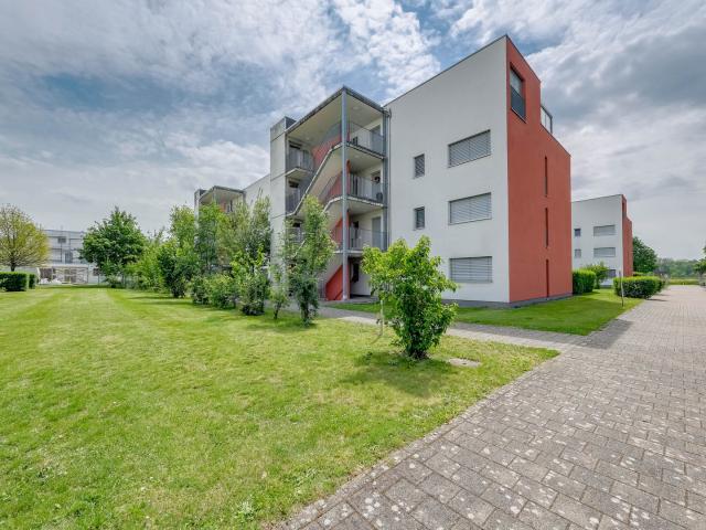 Apartment mieten in Möhlin, Aargau