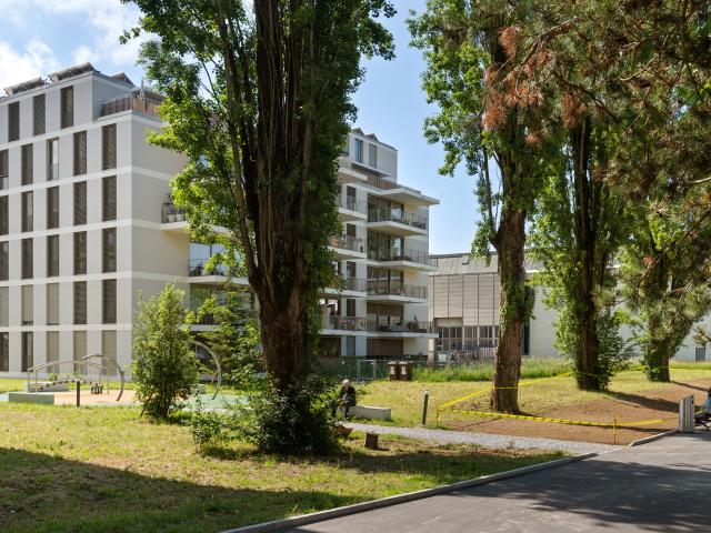Attikawohnung mieten in Ecublens (FR), Waadt