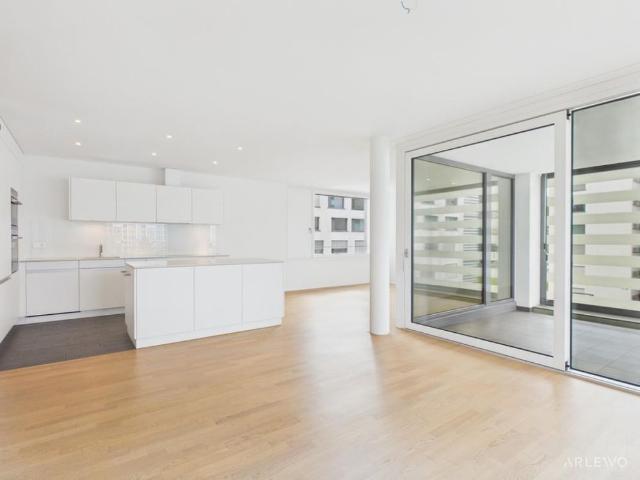 Apartment mieten in Schönbühl, Luzern