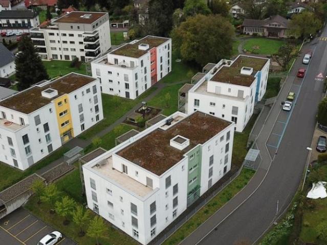 Apartment mieten in Menziken, Aargau