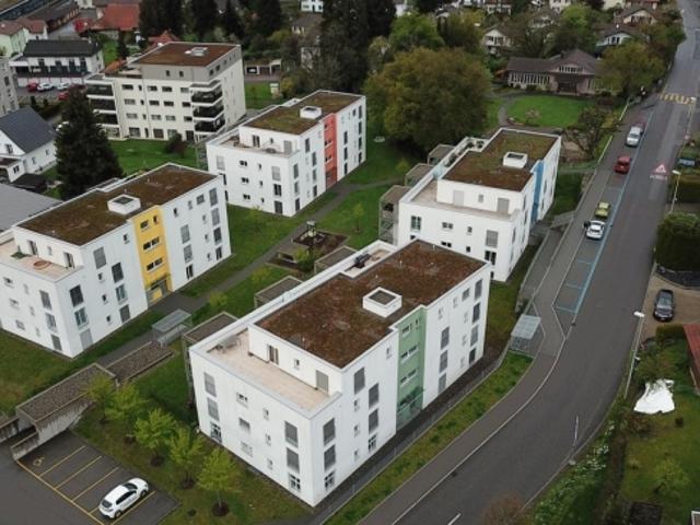 Wohnung mieten in Menziken, Aargau