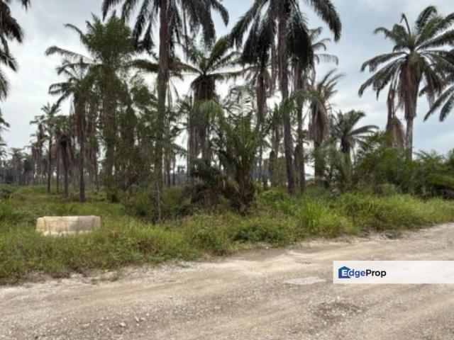 Shop for sale in Ijok, Selangor