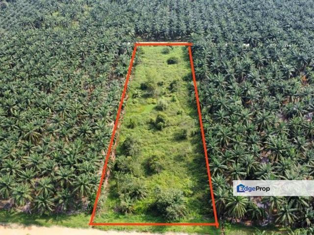 Warehouse for sale in Ijok, Selangor