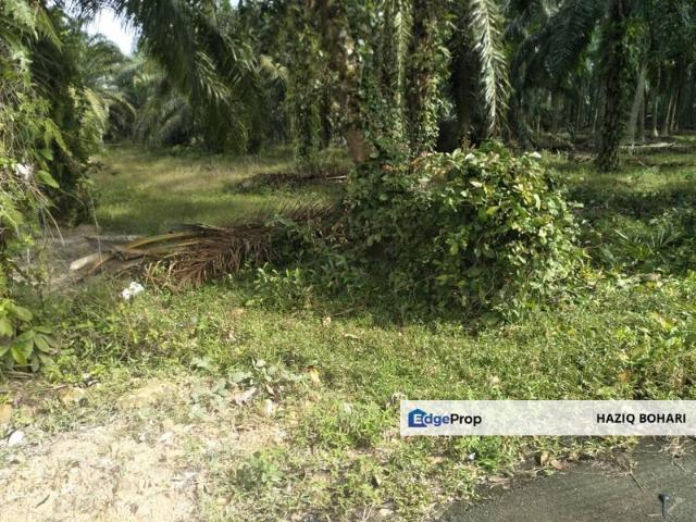 Shop for sale in Ijok, Selangor