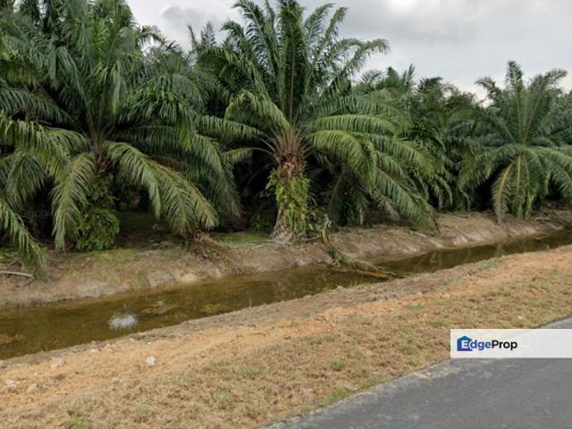 Shop for sale in Ijok, Selangor