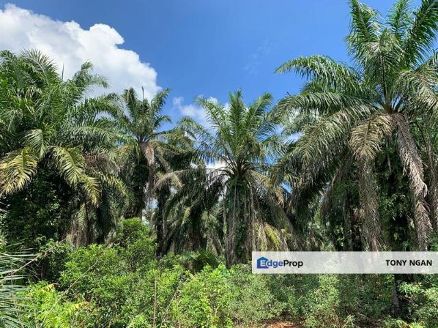 Warehouse for sale in Ijok, Selangor