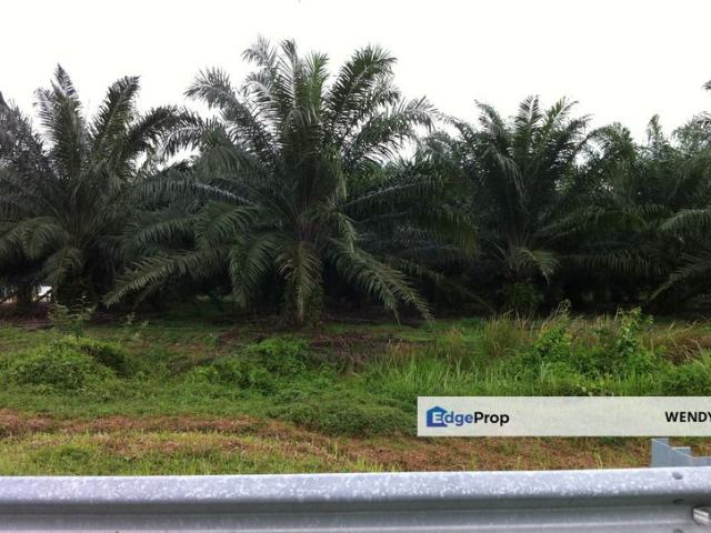 Warehouse for sale in Ijok, Selangor