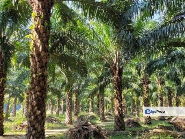 Warehouse for sale in Ijok, Selangor