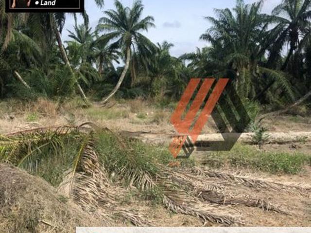 Shop for rent in Ijok, Selangor