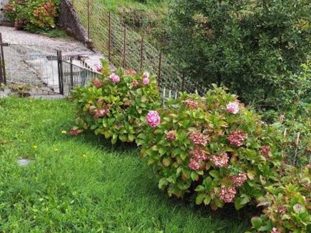 Appartamento in vendita a Torriglia, Liguria