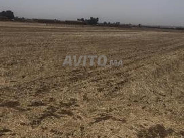 Propriété vente à Anfa, Sidi Moumen