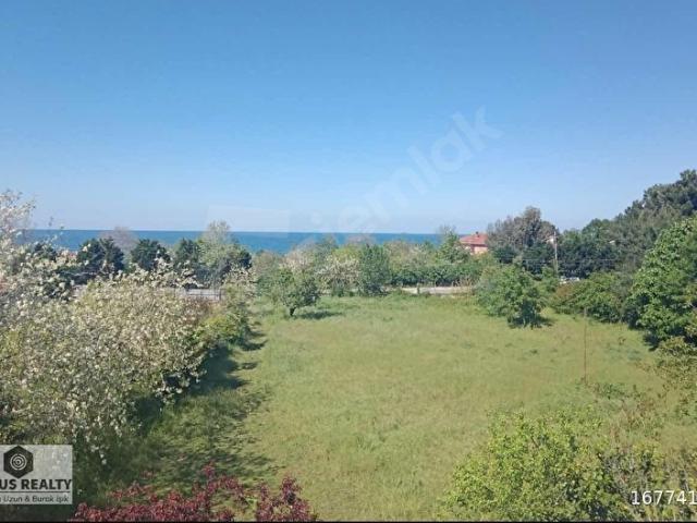 Şile, İstanbul içerisinde satılık Arsa