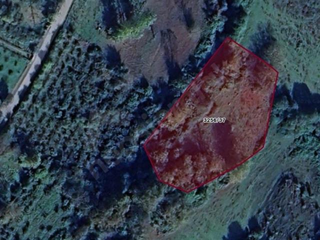 Şile, İstanbul içerisinde satılık Arsa
