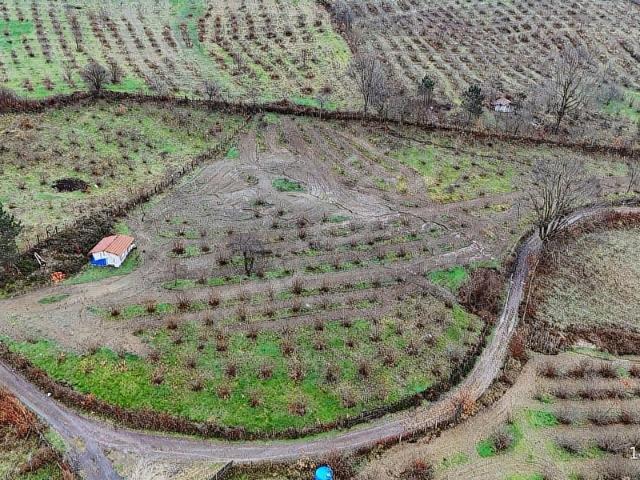 Embeyli, Şile içerisinde satılık Arsa