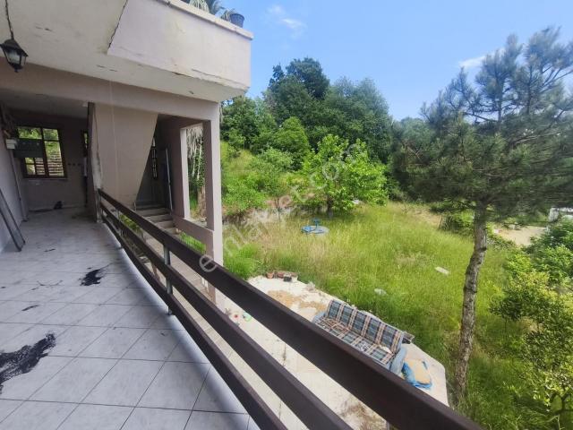 Şile, İstanbul içerisinde kiralık mülk