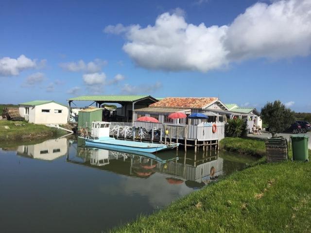 Local Commercial vente à Rochefort, Dolus-d'oléron