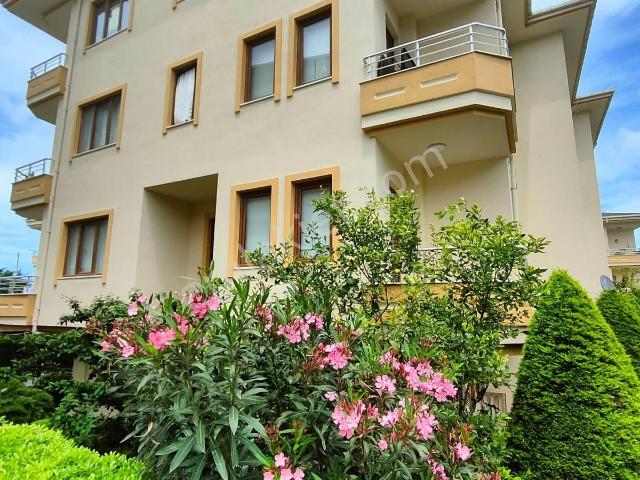 Şile, İstanbul içerisinde satılık mülk