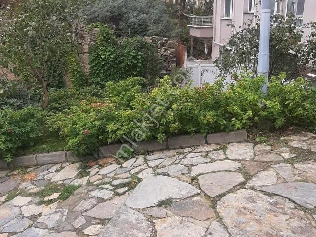 Şile, İstanbul içerisinde satılık mülk