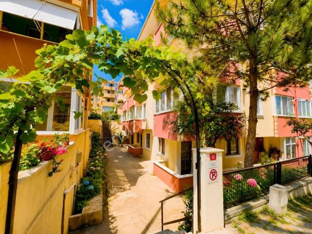Şile, İstanbul içerisinde kiralık mülk