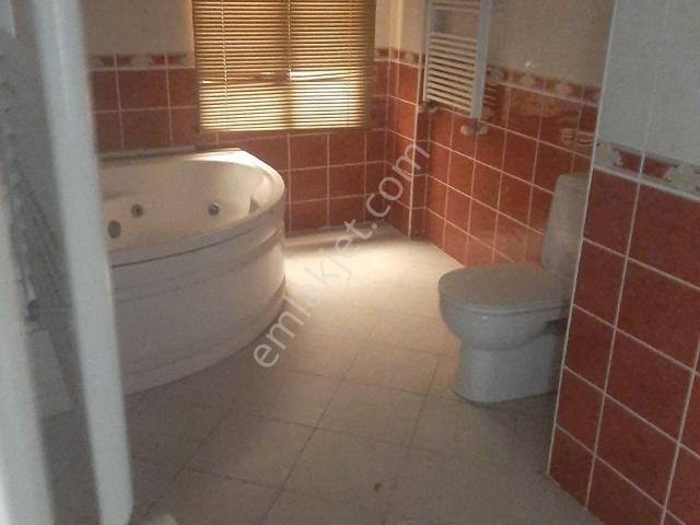 Şile, İstanbul içerisinde kiralık mülk