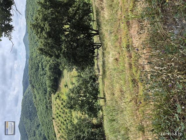 Şuayipli Mahallesi, Şile içerisinde satılık Arsa