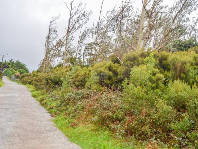 Terreno venda em Pombal, Leiria