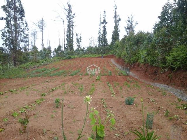 Terreno venda em Ponta Do Pargo, Ilha Da Madeira