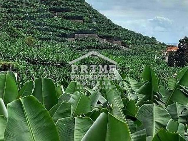 Terreno venda em Pombal, Leiria