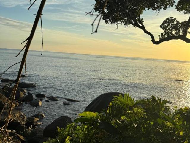 Sítio e chácara venda em Região Imediata de Caraguatatuba-Ubatuba-São Sebastião, Região Metropolitana do Vale do Paraíba e Litoral Norte