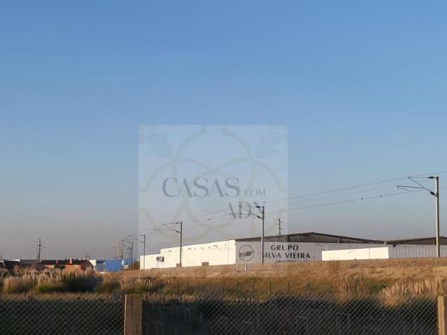 Terreno venda em Ílhavo, Aveiro