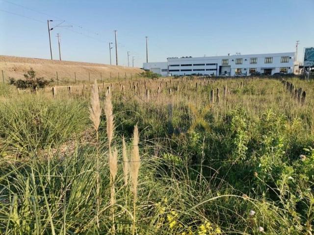 Terreno venda em Ílhavo, Aveiro