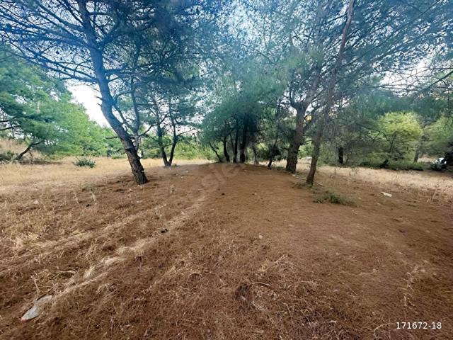 Ilıpınar Mahallesi, Foça içerisinde satılık Arsa