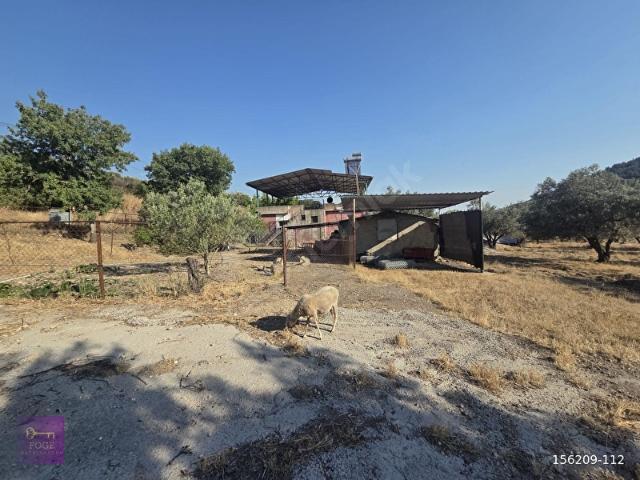 Ilıpınar Mahallesi, Foça içerisinde satılık Arsa