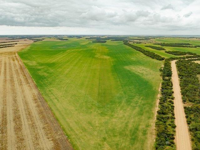 Cottage for sale in Mount Damper, Wudinna District Council