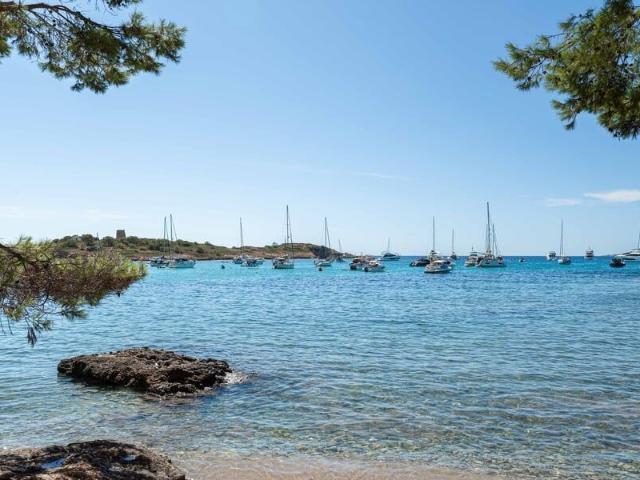 Apartamento en alquiler en Calvià, Serra de Tramuntana