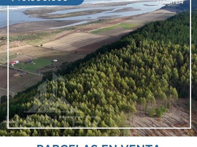Terreno en venta en Monte Grande, Maule