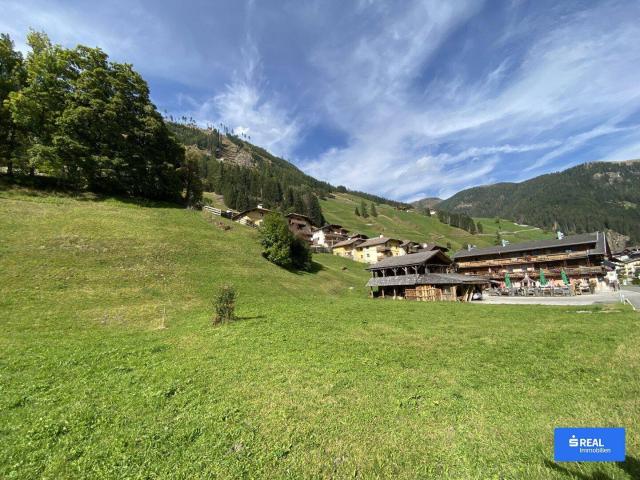 Immobilie kaufen in St. Jakob in Defereggen, Tirol