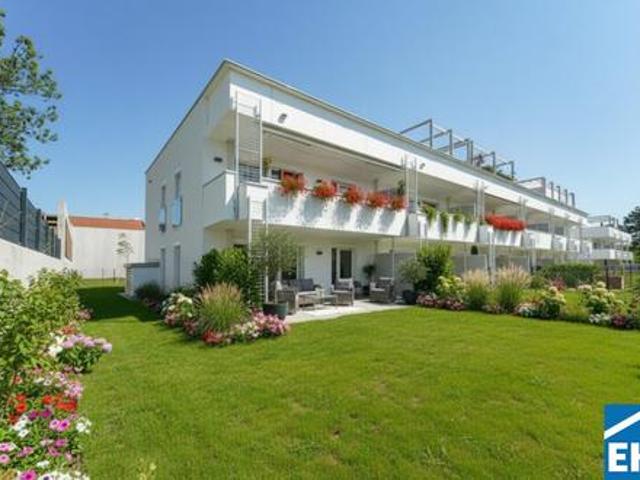 Wohnung kaufen in Maria Enzersdorf, Niederösterreich