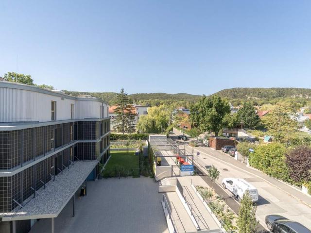 Wohnung kaufen in Mödling, Bezirk Mödling
