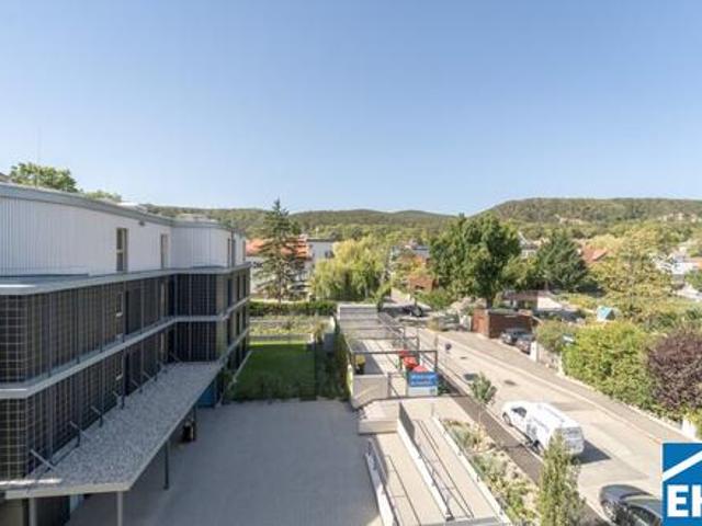 Wohnung kaufen in Mödling, Bezirk Mödling