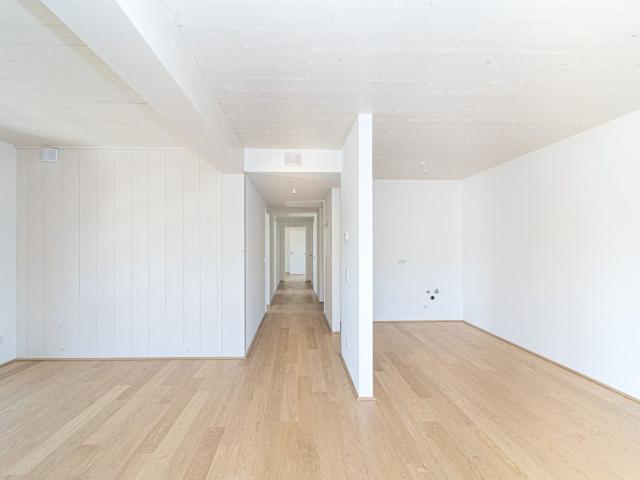 Wohnung kaufen in Mödling, Bezirk Mödling