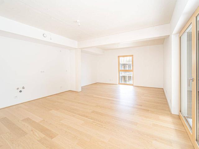 Apartment kaufen in Mödling, Bezirk Mödling