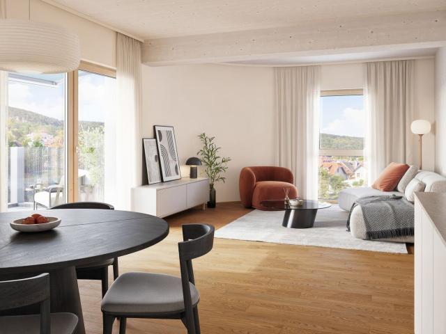 Wohnung kaufen in Mödling, Niederösterreich