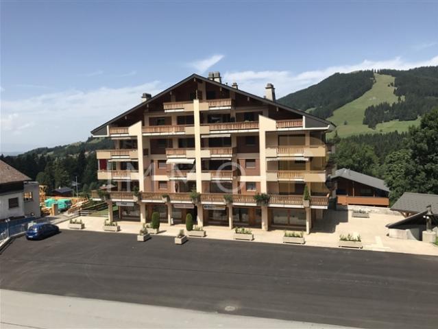 Wohnung kaufen in Châtel-Saint-Denis, Freiburg