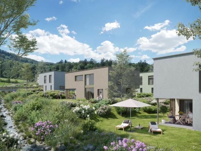 Einfamilienhaus kaufen in Birr, Aargau