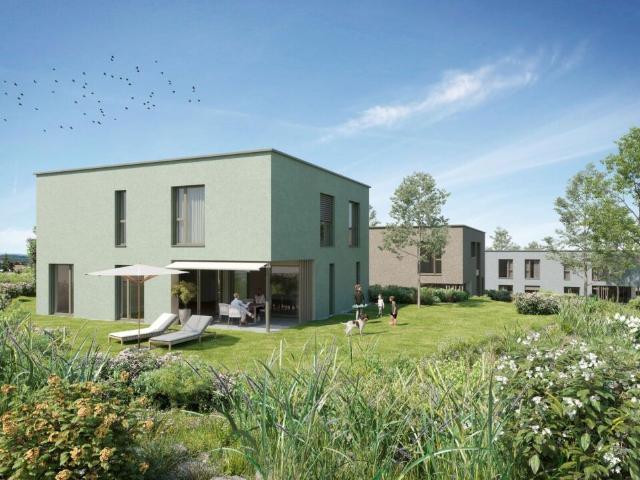 Einfamilienhaus kaufen in Birr, Aargau